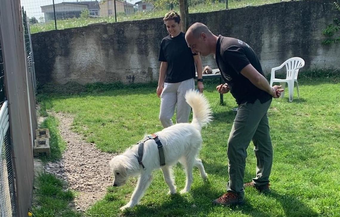 A scuola di tartufi: un corso per chi vuole diventare "trifolau"