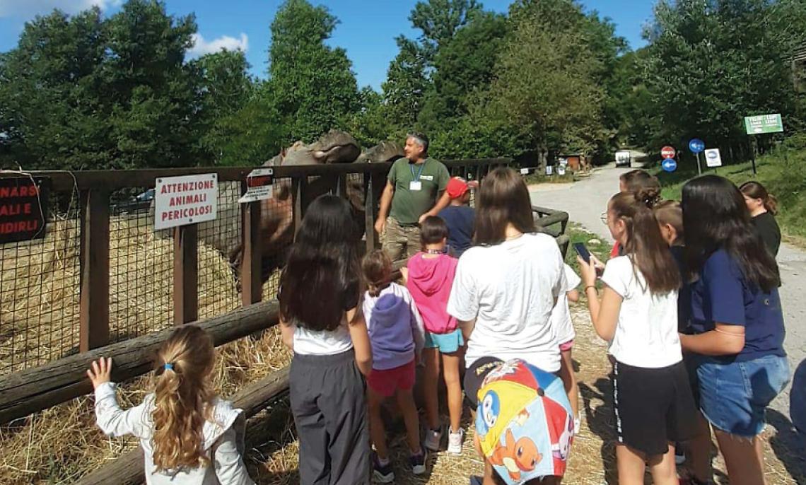 Il Comune investe sui giovani: rette pi&ugrave; basse per Estate Ragazzi e una nuova aula all'aperto