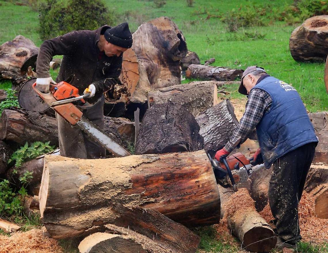 Terra, boschi e foreste: la politica prova ad ascoltare chi li vive davvero