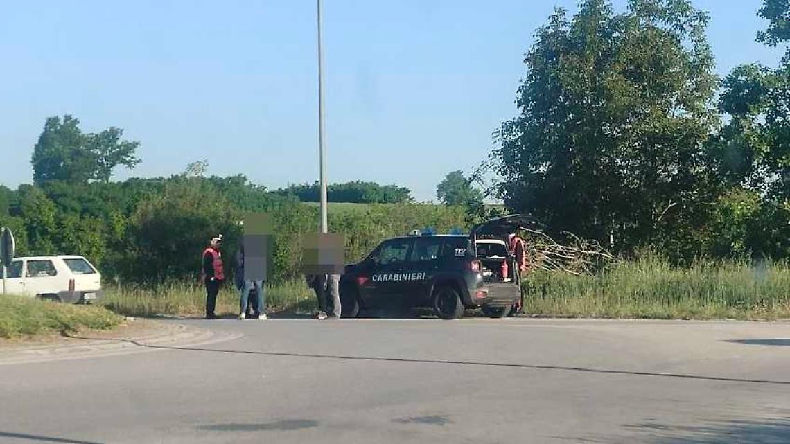 Tamponamento dalla rotonda tra pi&ugrave; mezzi