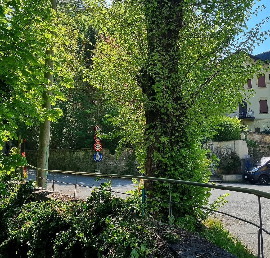 Garessio: tre ponti a misura di pedoni