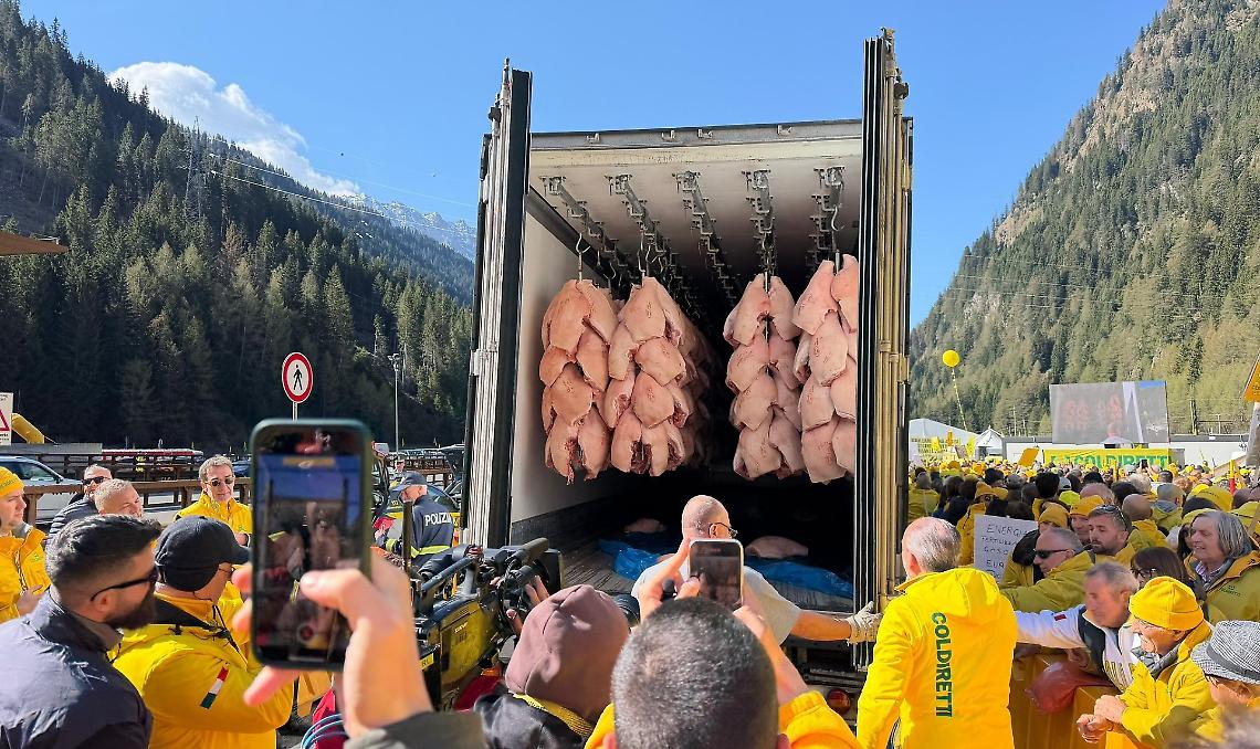 Cosce di maiali dall'estero diventano prosciutto italiano: 10 mila agricoltori protestano al Brennero