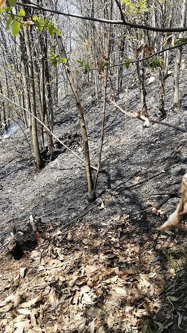 WhatsApp Image 2021 04 23 At 17.00.22 (1)