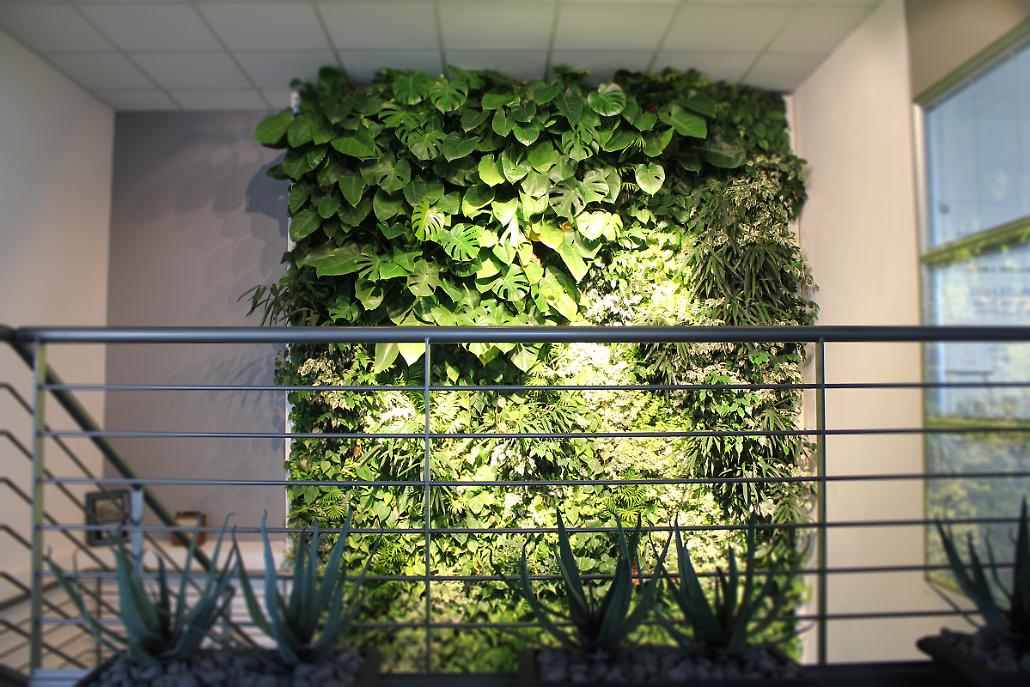 EPF60 Giardino Verticale Interno