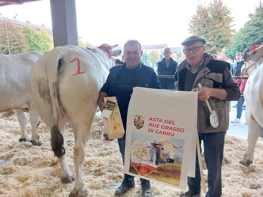 1 Bue Battuto Alla Asta A 9300