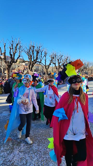 Carnevale Mondov&igrave; Sfilata 12 Febbraio (22)