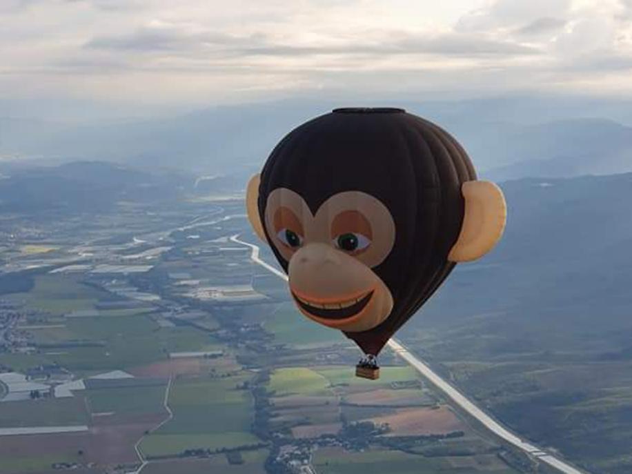 Le Singe volant