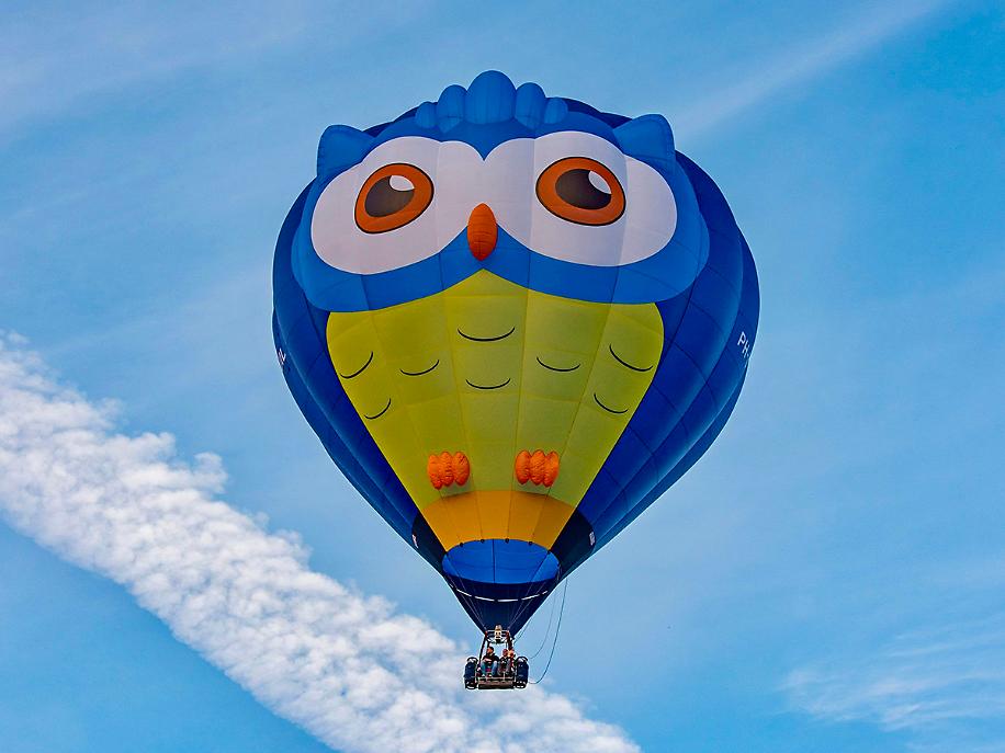 Mr Owl