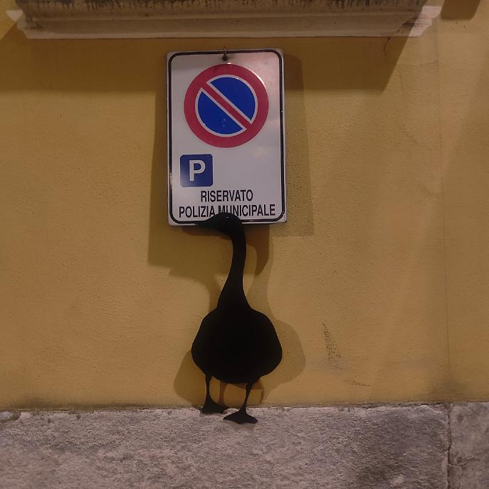 WhatsApp Image 2025-03-20 at 22.01.21 (1)