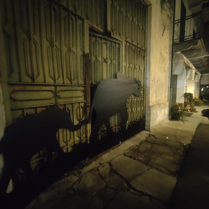 WhatsApp Image 2025-03-20 at 22.01.21