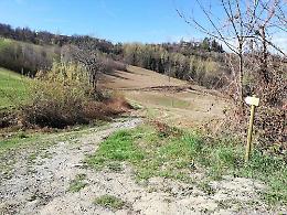Domenica tutti a camminare sul petalo monregalese del sentiero Landandè