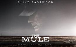Qualche lavoretto sporco per arrotondare: The Mule – Il corriere