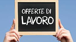 Lavoro cerco/offro