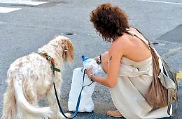 Passeggiata a "6 zampe" contro le nuove norme per i proprietari di animali