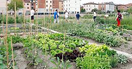 A Mondovì nasce “Mondo-orto”: un terreno all'Altipiano per chi vuole tornare a coltivare la terra