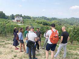A passeggio tra le vigne, con la Cantina Clavesana
