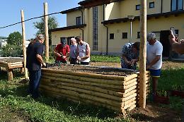 Prime piantine nell'Orto della socialità di Mondovì