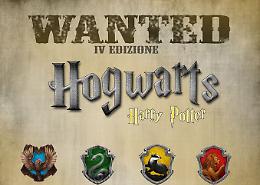Farigliano: parte la "caccia" alle pietre di Harry Potter