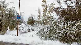 Danni e disagi post nevicata: il riepilogo e le foto