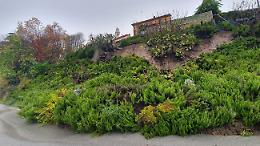 ALLERTA METEO - AGGIORNAMENTO strade provinciali chiuse