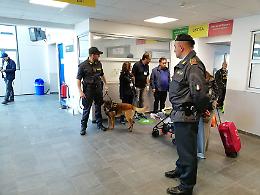Tabacco di contrabbando sequestrato all'aeroporto di Levaldigi