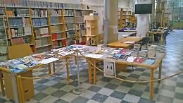 Servizio Civile: sei posti disponibili in Comune, 500 euro al mese. Ecco come fare domanda