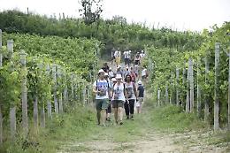 Farigliano: annullata la "Camminata del gusto" 2020