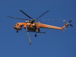 Mucca precipita in un burrone a Prato Nevoso, la porta in salvo l'elicottero