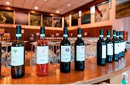 Cantina Clavesana entra nella top20 delle migliori Cooperative italiane di settore