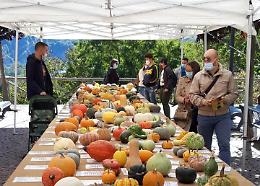 Più forti di tutto: a Piozzo è il week-end di "Zucca in cascina"