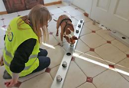 Cani anti Covid-19 all’Aeroporto di Cuneo Levaldigi