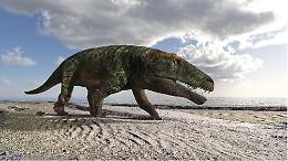 Scoperte orme fossili di rettile gigante sulle Alpi cuneesi
