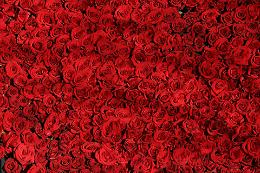 Alfabeto di sbadanza. R come Rosso