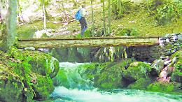 Estate ragazzi in Val Pesio con servizio navetta