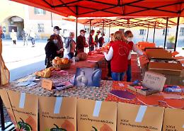 Oggi a Piozzo, la distribuzione dei semi di zucca in piazza