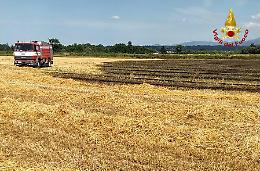 A Margarita incendio nel campo di grano, intervengono i Vigili del fuoco