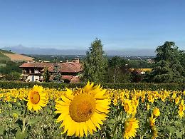 “Merenda fariglianese”: un "kit" di prodotti da gustare, visitando i campi di girasoli