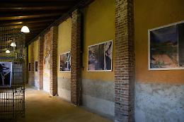 “Arvest! Photo Fest”: in mostra le foto del “ritorno” tra le Langhe