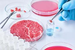 Coldiretti sulla “carne in provetta”: «Nessun vantaggio per animali e consumatori»