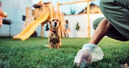 Controlli e multe a Morozzo per chi non raccoglie le deiezioni dei cani