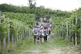 La Pro loco di Farigliano: «Valutiamo il ritorno della “Camminata del gusto”»