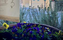Fiori anche in inverno a Dogliani Castello, per un borgo accogliente in ogni stagione