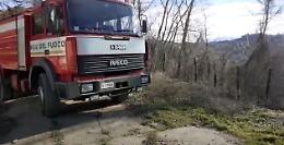 Dopo l'incendio, il Parco Safari ringrazia: «Ingresso omaggio ai Vigili del fuoco»