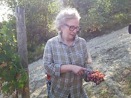 Nicoletta Bocca nuova presidente della "Bottega del vino Dogliani Docg"