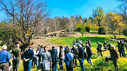 Bosco della Nova di Mondovì: per sostenerlo si può votare
