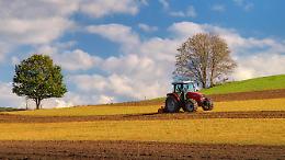 Agricoltura: sospeso l'obbligo di comunicazione preventiva di spandimento liquami