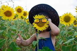 Giallo buonumore: torna il contest fotografico sui girasoli di Farigliano