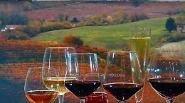 Coldiretti Piemonte parla alla Meloni: «La si smetta di associare l'immagine dl vino a prodotti dannosi per la salute»