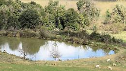 Raccogliere l’acqua piovana contro la siccità: «Serve un sistema di invasi»