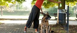 Clavesana: fino a 500 euro di multa per chi non raccoglie gli escrementi del proprio cane